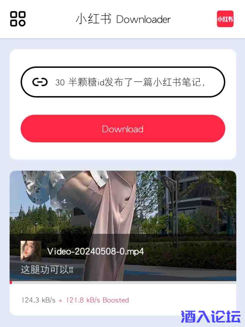 215521.jpg