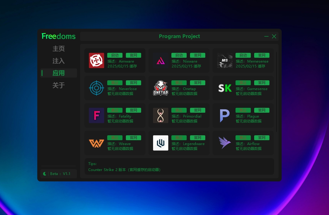 Project Page.png